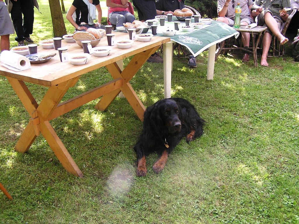 P1010032.jpg